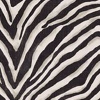 5019 01 Terranea Zebra Ebony X2 Kopi